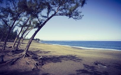 Réussir la construction des bâtiments à la réunion